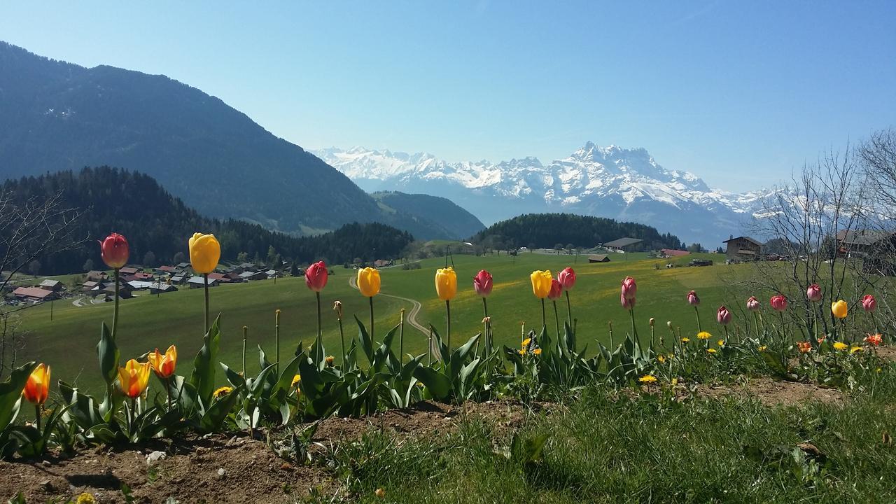 Winterfell Villa Leysin Exteriör bild