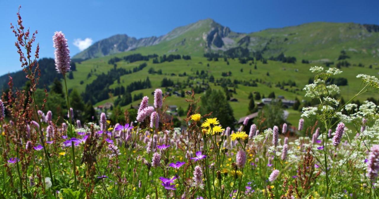 Winterfell Villa Leysin Exteriör bild